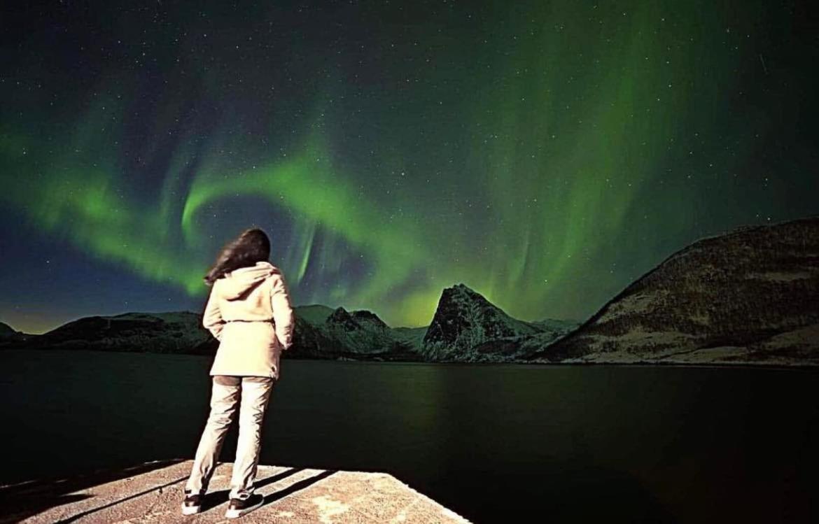 Апарт отель Senja Living Stonglandseidet Экстерьер фото