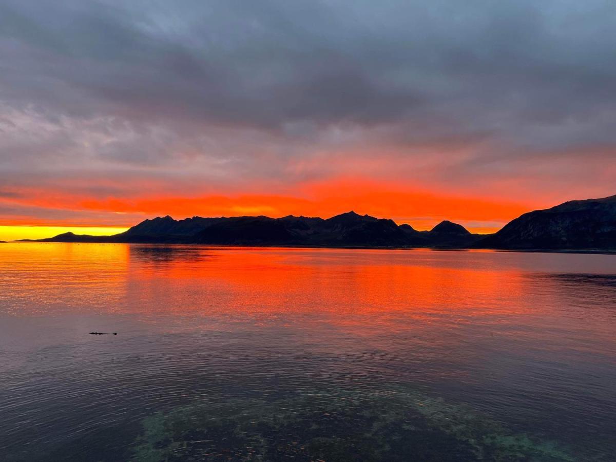 Апарт отель Senja Living Stonglandseidet Экстерьер фото