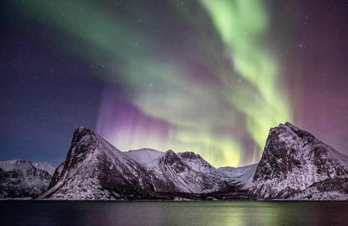 Апарт отель Senja Living Stonglandseidet Экстерьер фото